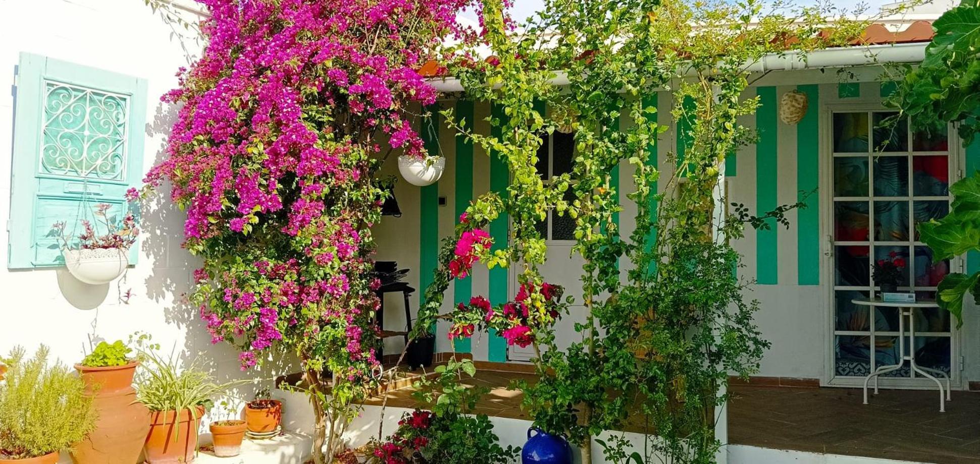 Casa Con Piscina Cerca De Sevilla Carrion de Los Cespedes Kültér fotó